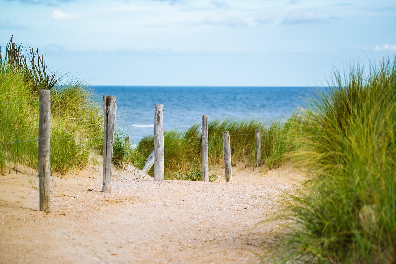 thin, sea, fence, nature, water, vacation, north sea, path, sand, beach, landscape, travel
