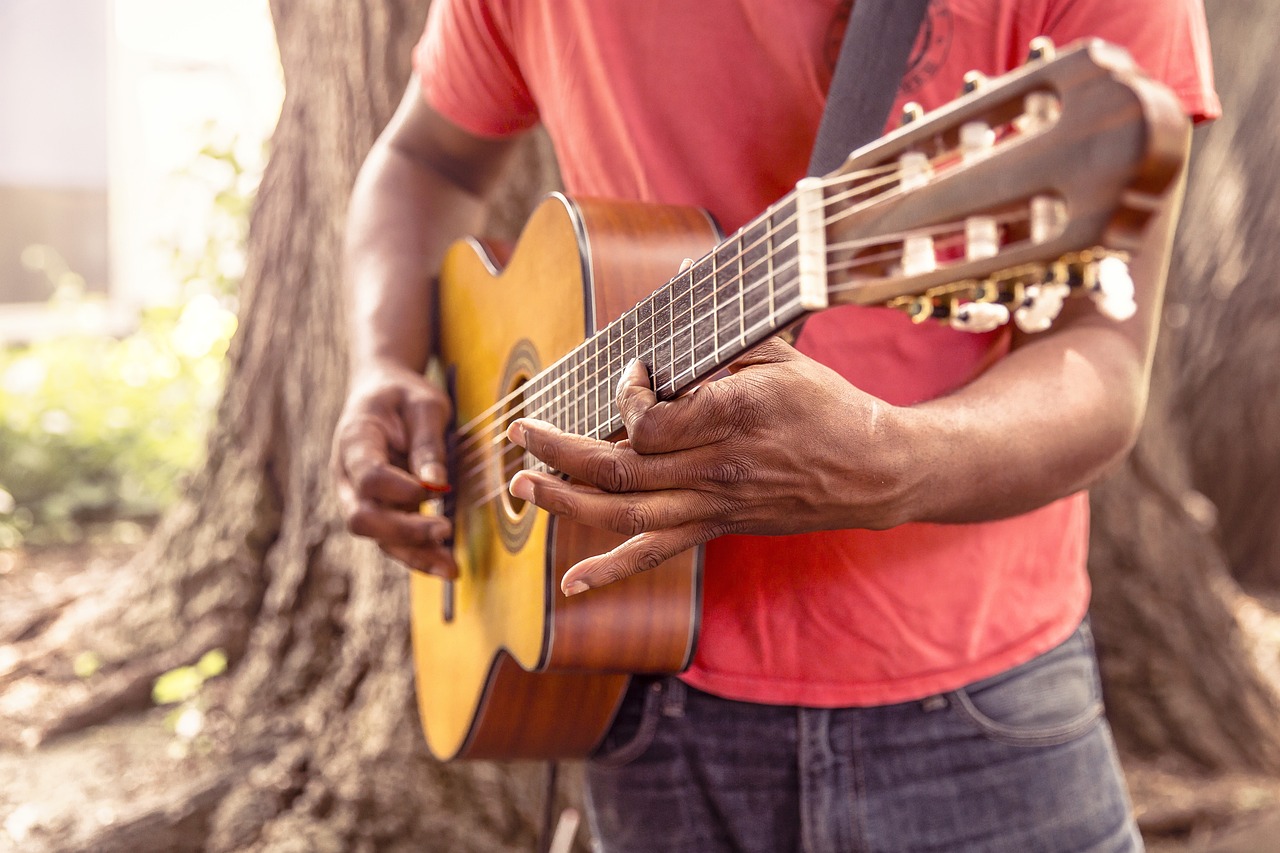 guitar, music, man, play, strum, chord, acoustic, musical, instrument, musical instrument, sound, musician, guitarist, s