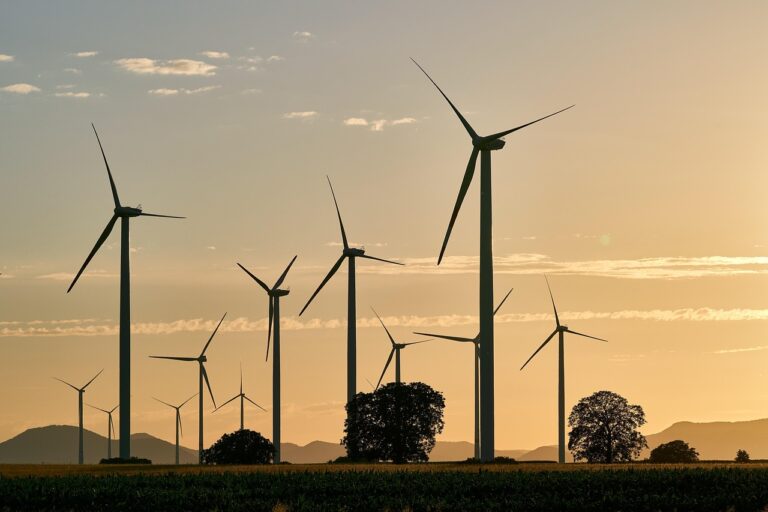 Green Web Hosting for WordPress: A Practical Guide to Eco-Friendly Hosting Options