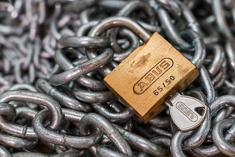 SSL Certificate Guide for WordPress Sites: What You Need to Know