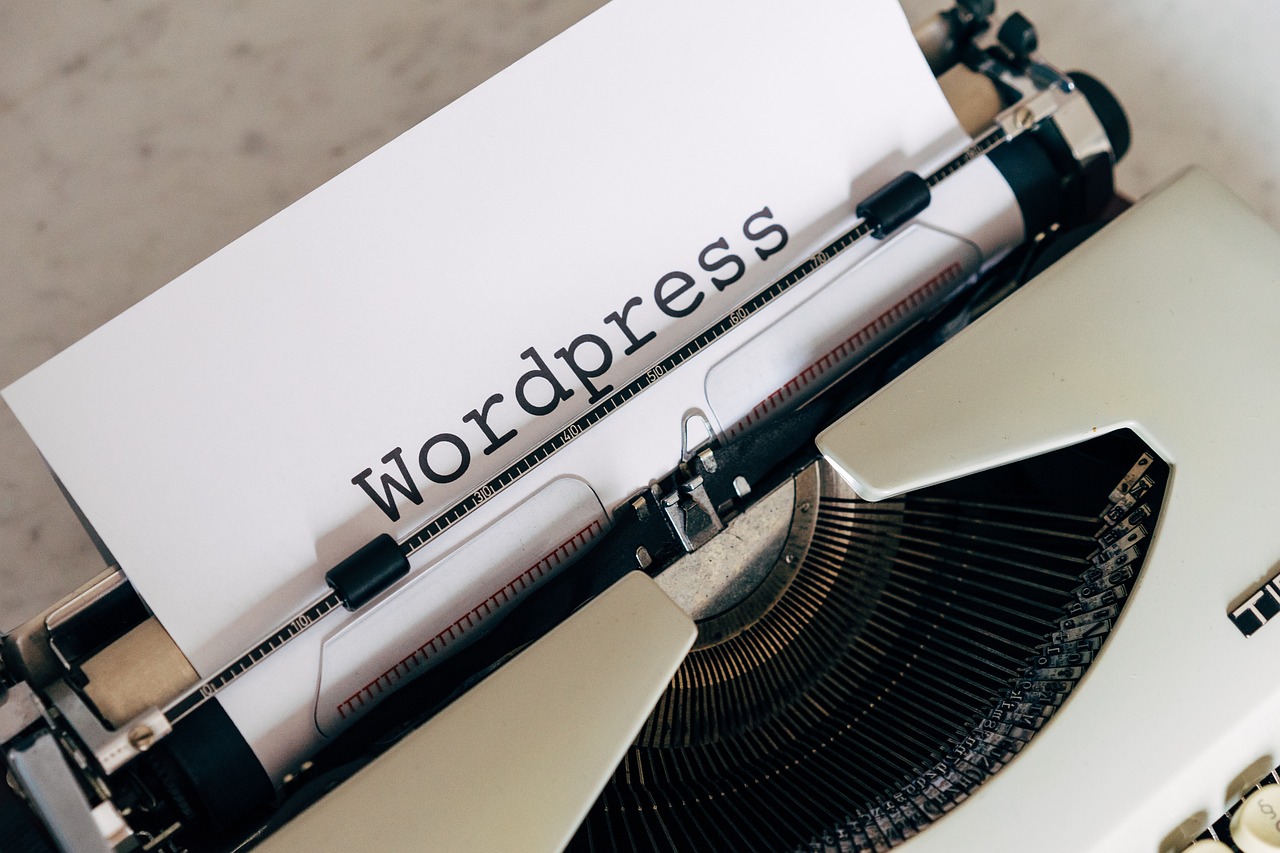 wordpress, blog, software, to blog, content management system, write, website, internet, editorial staff, web, publish, 